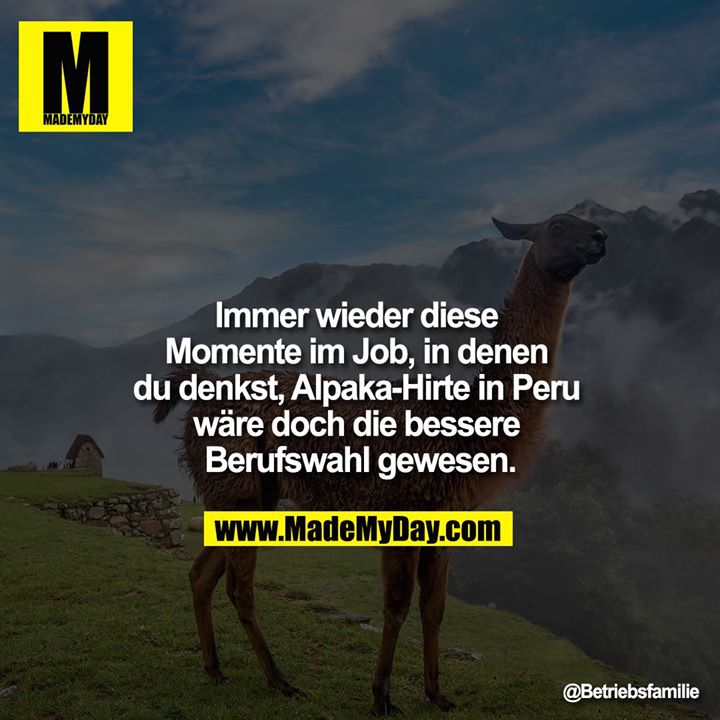 Immer wieder diese Momente im Job, in denen du denkst, Alpaka-Hirte in Peru wäre doch die bessere Berufswahl gewesen.