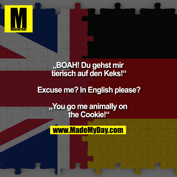 „BOAH! Du gehst mir tierisch auf den Keks!“<br />
<br />
Excuse me? In English please?<br />
<br />
„You go me animally on the Cookie!“