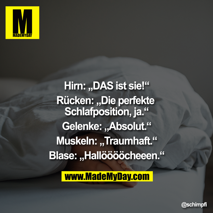 Hirn: „DAS ist sie!“<br />
Rücken: „Die perfekte Schlafposition, ja.“<br />
Gelenke: „Absolut.“<br />
Muskeln: „Traumhaft.“<br />
Blase: „Hallööööcheeen.“