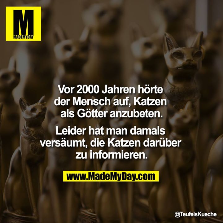 Vor 2000 Jahren hörte der Mensch auf, Katzen als Götter anzubeten.<br />
<br />
Leider hat man damals versäumt, die Katzen darüber zu informieren.