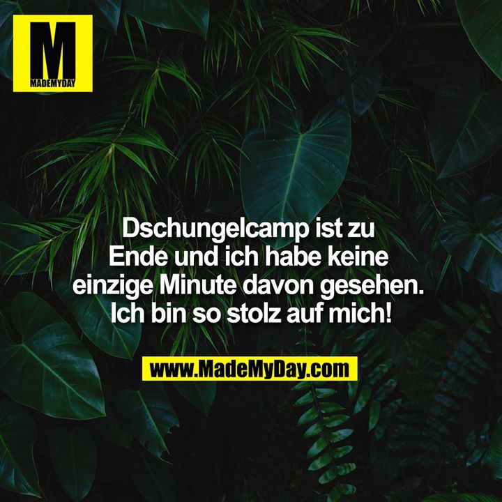 Dschungelcamp ist zu Ende und ich habe keine einzige Minute davon gesehen. Ich bin so stolz auf mich!