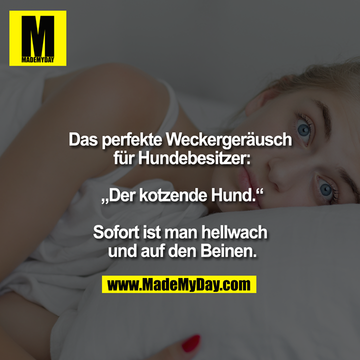 Das perfekte Weckergeräusch für Hundebesitzer:<br />
<br />
"Der kotzende Hund."<br />
<br />
Sofort ist man hellwach und auf den Beinen.