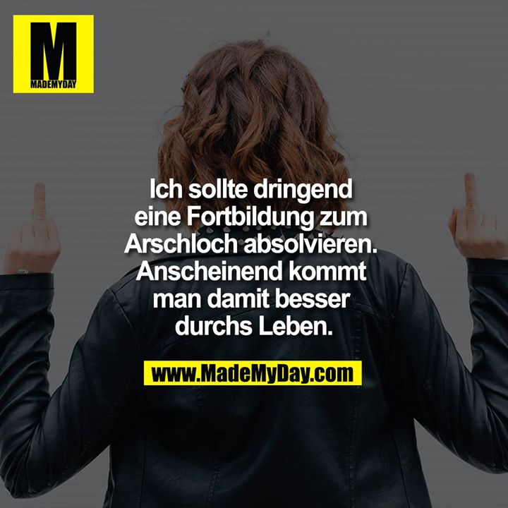 Ich sollte dringend eine Fortbildung zum Arschloch absolvieren. Anscheinend kommt man damit besser durchs Leben.