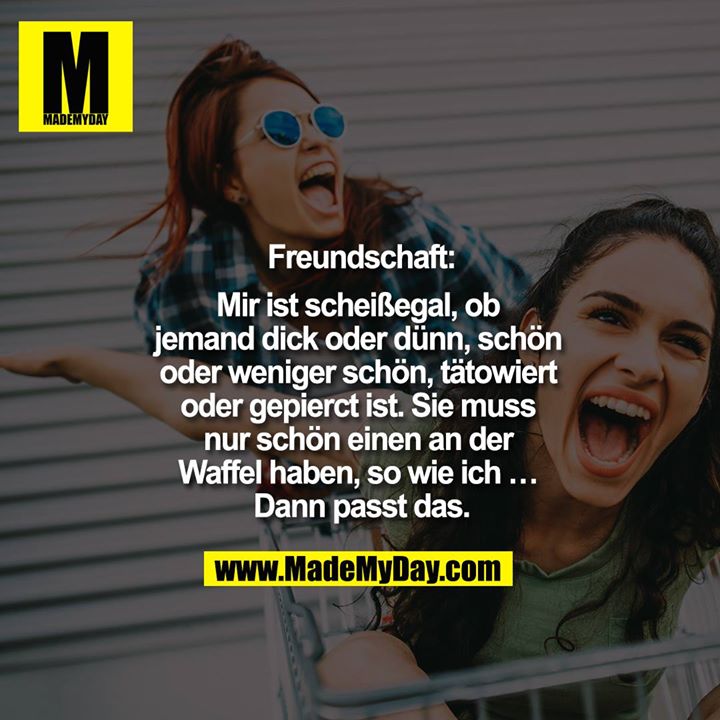 Freundschaft:<br />
Mir ist scheißegal, ob jemand dick oder dünn, schön oder weniger schön, tätowiert oder gepierct ist. Sie muss nur schön einen an der Waffel haben, so wie ich … Dann passt das.
