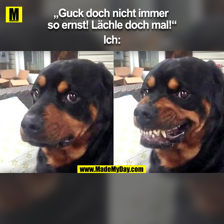 „Guck doch nicht immer so ernst! Lächle doch mal!“<br />
Ich: