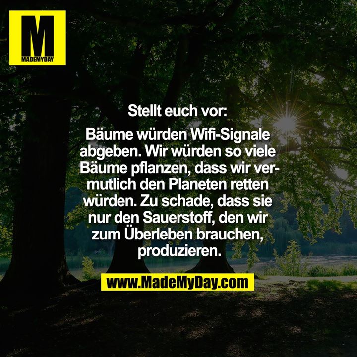 Stellt euch vor: Bäume würden Wifi-Signale abgeben, wir würden so viele Bäume pflanzen, dass wir vermutlich den Planeten retten würden. Zu schade, dass sie nur den Sauerstoff, den wir zum Überleben brauchen, produzieren.