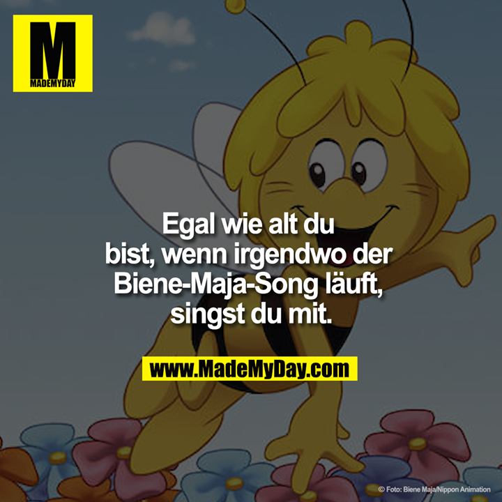 Egal wie alt du bist, wenn irgendwo der Biene-Maja-Song läuft, singst du mit.