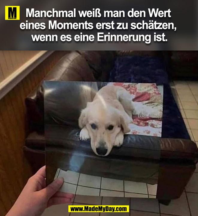 Manchmal weiß man den Wert eines Momentes erst zu schätzen, wenn es eine Erinnerung ist.