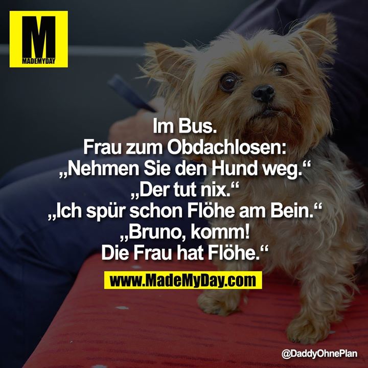Im Bus. Frau zum Obdachlosen:<br />
"Nehmen Sie den Hund weg."<br />
"Der tut nix."<br />
"Ich spür schon Flöhe am Bein."<br />
"Bruno, komm! Die Frau hat Flöhe."