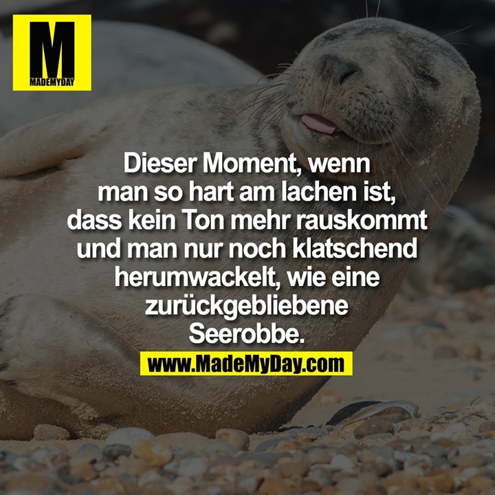 Dieser Moment, wenn man so hart am lachen ist, dass kein Ton mehr rauskommt und man nur noch klatschend herumwackelt, wie eine zurückgebliebene Seerobbe.