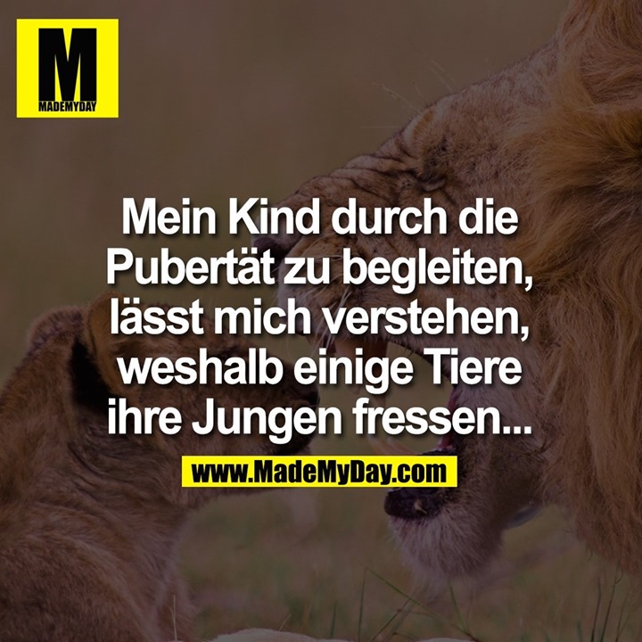 Mein Kind durch die Pubertät zu begleiten, lässt mich verstehen, weshalb einige Tiere ihre Jungen fressen...