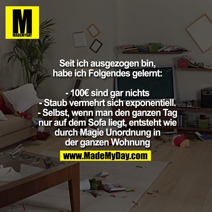 Seit ich ausgezogen bin, habe ich Folgendes gelernt:<br />
<br />
- 100€ sind gar nichts<br />
- Staub vermehrt sich exponentiell.<br />
- Selbst, wenn man den ganzen Tag nur auf dem Sofa liegt, entsteht wie durch Magie Unordnung in der ganzen Wohnung
