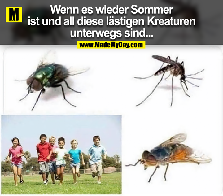 Wenn es wieder Sommer<br />
ist und all diese lästigen Kreaturen<br />
unterwegs sind...