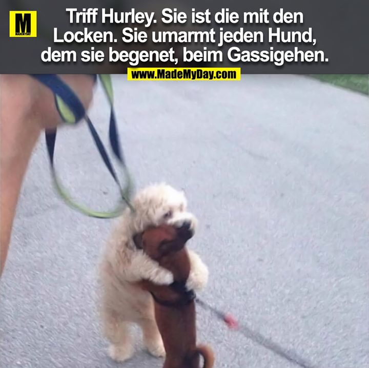 Triff Hurley. Sie ist die mit den<br />
Locken. Sie umarmt jeden Hund,<br />
dem sie begenet, beim Gassigehen.