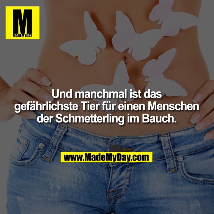 Und manchmal ist das gefährlichste Tier für einen Menschen der Schmetterling im Bauch.