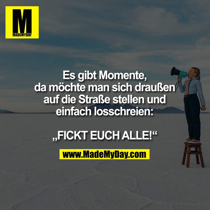 Es gibt Momente, da möchte man sich draußen auf die Straße stellen und einfach losschreien:<br />
<br />
„FICKT EUCH ALLE!“