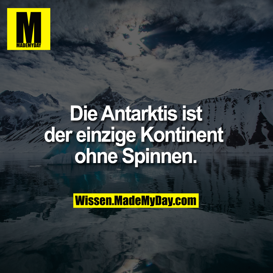 Die Antarktis ist<br />
der einzige Kontinent <br />
ohne Spinnen.