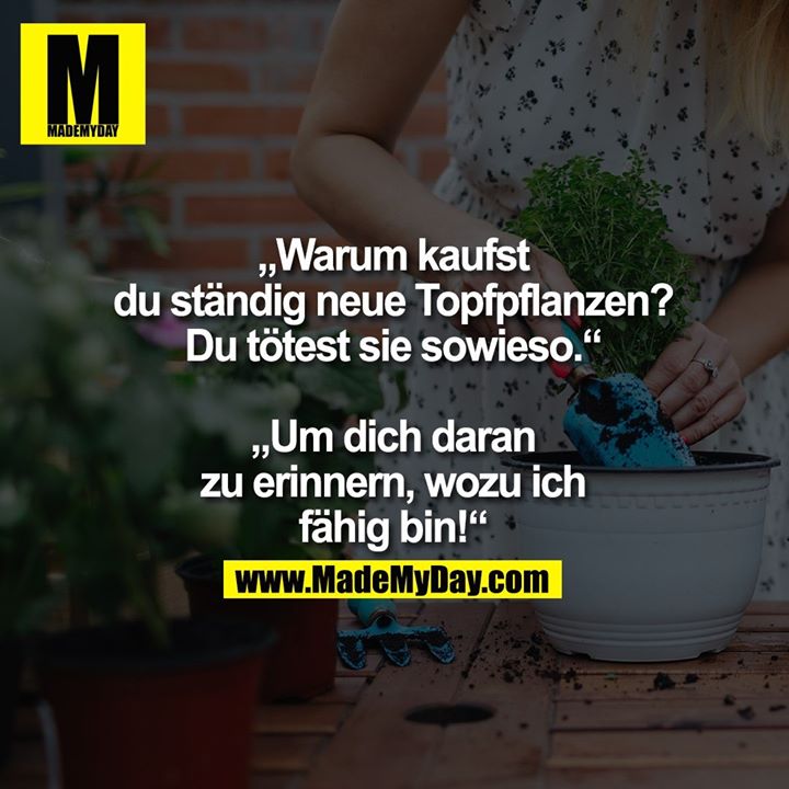 „Warum kaufst du ständig<br />
neue Topfpflanzen?<br />
Du tötest sie sowieso.“<br />
„Um dich daran zu erinnern,<br />
wozu ich fähig bin!“