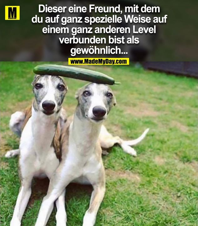 Dieser eine Freund, mit dem du auf ganz spezielle Weise auf einem ganz anderen Level verbunden bist als gewöhnlich...