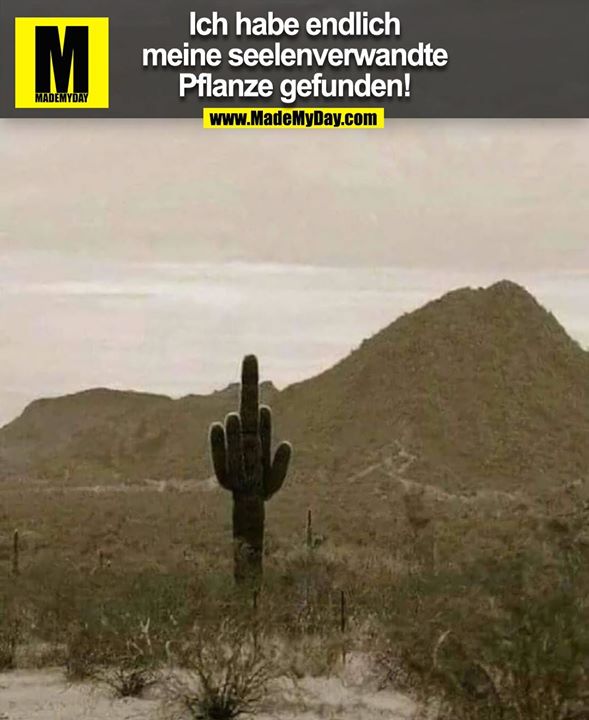 Ich habe endlich<br />
meine Seelenverwandte<br />
Pflanze gefunden!