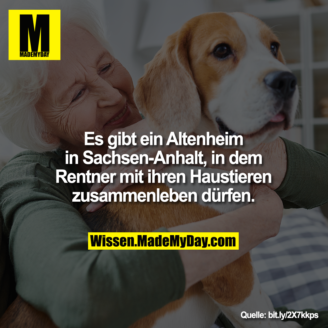Es gibt ein Altenheim<br />
in Sachsen-Anhalt, in dem<br />
Rentner mit ihren Haustieren<br />
zusammenleben dürfen.