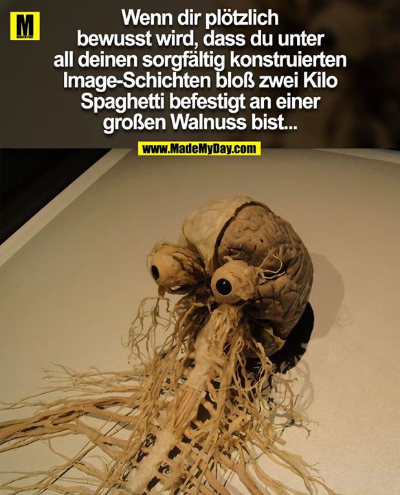 Wenn dir plötzlich bewusst wird, dass du <br />
unter all deinen sorgfältig konstruierten <br />
Image-Schichten bloß zwei Kilo Spaghetti <br />
befestigt an einer großen Walnuss bist...