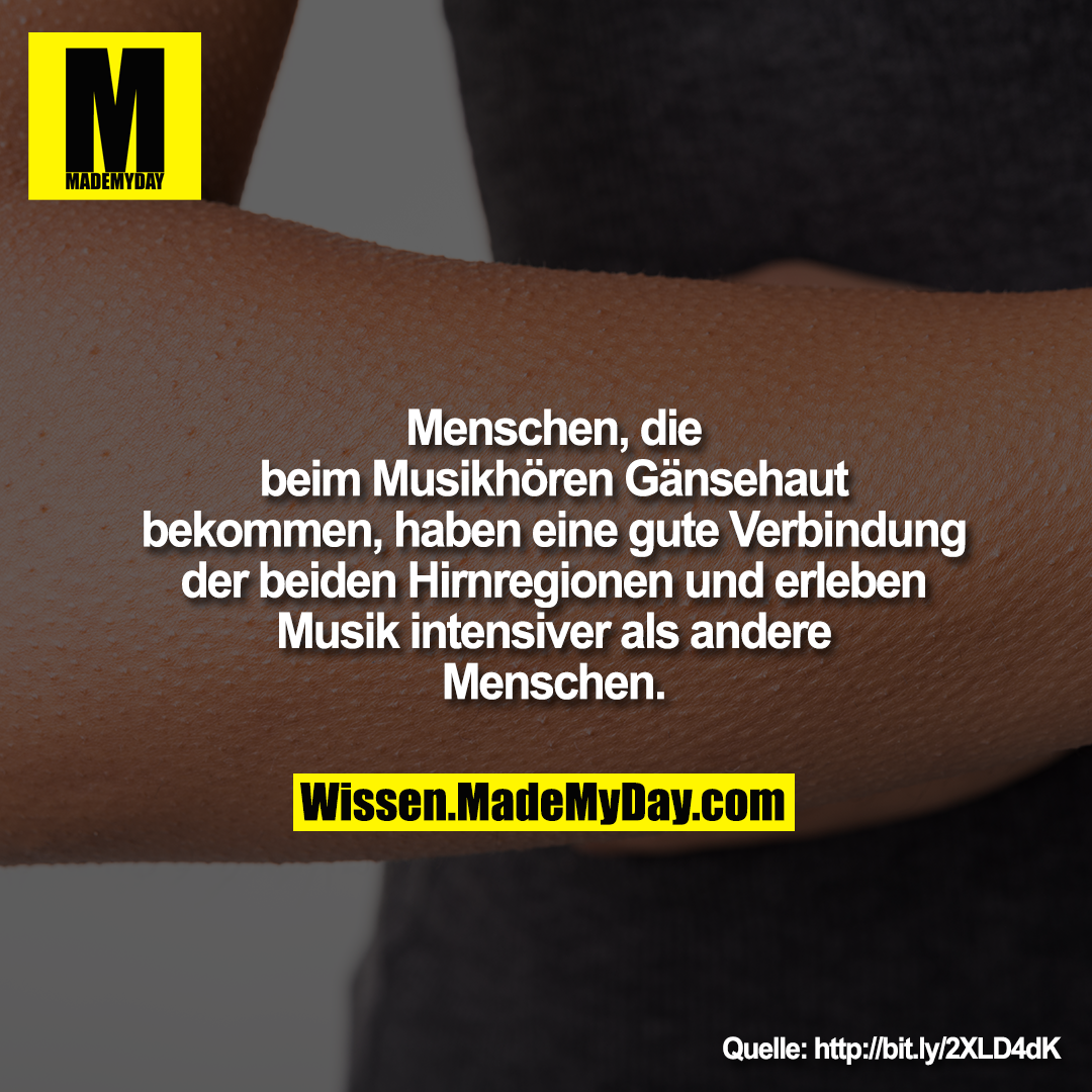 Menschen, die beim Musikhören<br />
Gänsehaut bekommen, haben eine<br />
gute Verbindung der beiden<br />
Hirnregionen und erleben Musik<br />
intensiver als andere Menschen.