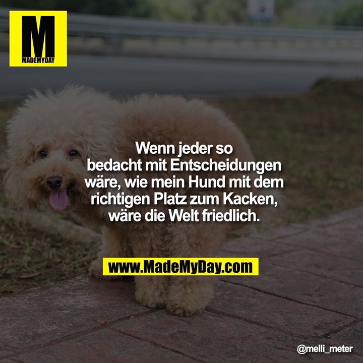 Wenn jeder so bedacht<br />
mit Entscheidungen<br />
wäre, wie mein Hund<br />
mit dem richtigen<br />
Platz zum Kacken,<br />
wäre die Welt friedlich.