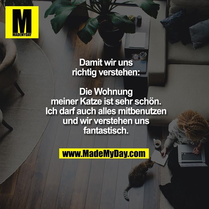 Damit wir uns richtig verstehen: Die Wohnung meiner Katze ist sehr schön. Ich darf auch alles mitbenutzen und wir verstehen uns fantastisch.
