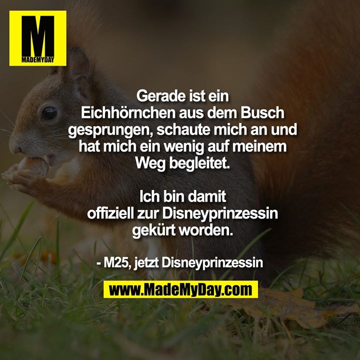 Gerade ist ein<br />
Eichhörnchen aus dem Busch<br />
gesprungen, schaute mich an und<br />
hat mich ein wenig auf meinem<br />
Weg begleitet.<br />
<br />
Ich bin damit<br />
offiziell zur Disneyprinzessin<br />
gekürt worden.<br />
<br />
- M25, jetzt Disneyprinzessin
