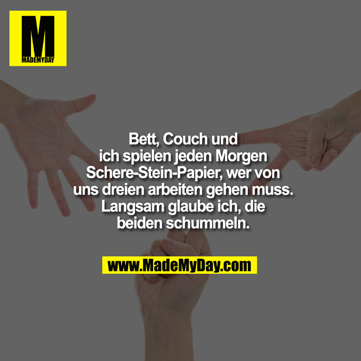 Bett, Couch und ich spielen jeden Morgen Schere-Stein-Papier, wer von uns dreien arbeiten gehen muss. Langsam glaube ich, die beiden schummeln.