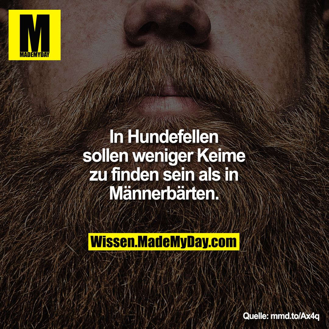 In Hundefellen sollen<br />
weniger Keime zu finden sein als<br />
in Männerbärten.