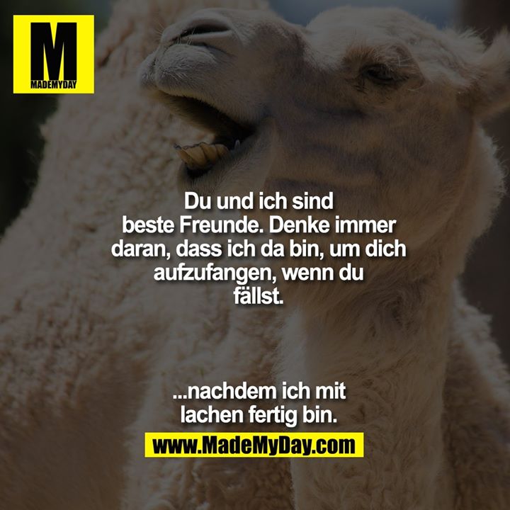 Du und ich sind beste Freunde.<br />
Denke immer daran, dass ich da bin, um dich aufzufangen, wenn du fällst<br />
<br />
...nachdem ich mit lachen fertig bin.