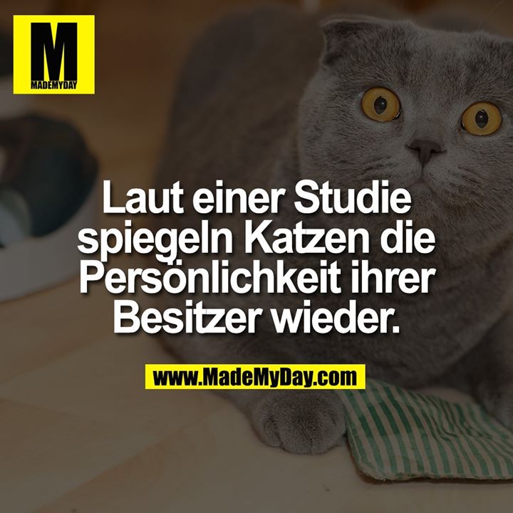 Laut einer Studie<br />
spiegeln Katzen die<br />
Persönlichkeit ihrer<br />
Besitzer wieder.