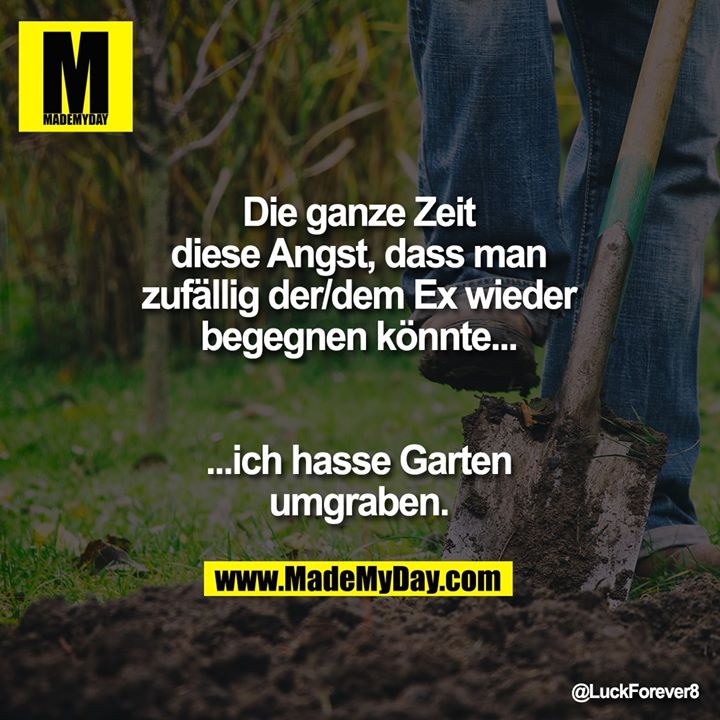 Die ganze Zeit<br />
diese Angst, dass man<br />
zufällig der/dem Ex wieder<br />
begegnen könnte...<br />
...ich hasse Garten<br />
umgraben.