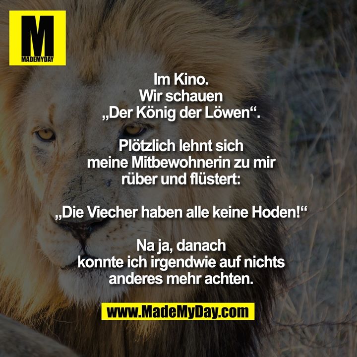 Im Kino.<br />
Wir schauen<br />
„Der König der Löwen“.<br />
<br />
Plötzlich lehnt sich<br />
meine Mitbewohnerin zu mir<br />
rüber und flüstert:<br />
<br />
„Die Viecher haben alle keine Hoden!“<br />
<br />
Na ja, danach<br />
konnte ich irgendwie auf nichts<br />
anderes mehr achten.