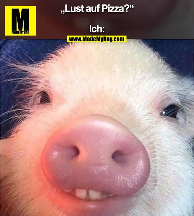 „Lust auf Pizza?“<br />
<br />
Ich: