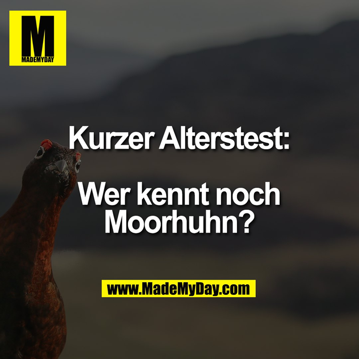 Kurzer Alterstest:<br />
<br />
Wer kennt noch Moorhuhn?