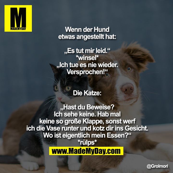 Wenn Der Hund Etwas Angestellt Made My Day