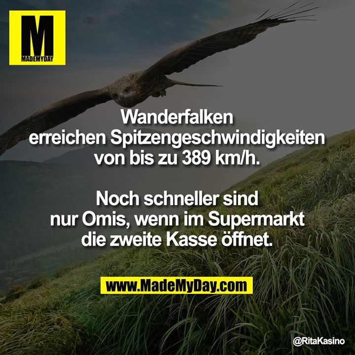 Wanderfalken erreichen Spitzengeschwindigkeiten von bis zu 389 km/h.<br />
Noch schneller sind nur Omis, wenn im Supermarkt die zweite Kasse öffnet.