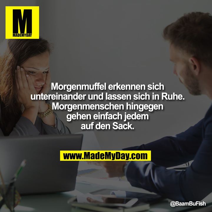 Morgenmuffel erkennen sich untereinander und lassen sich in Ruhe.<br />
Morgenmenschen hingegen gehen einfach jedem auf den Sack.