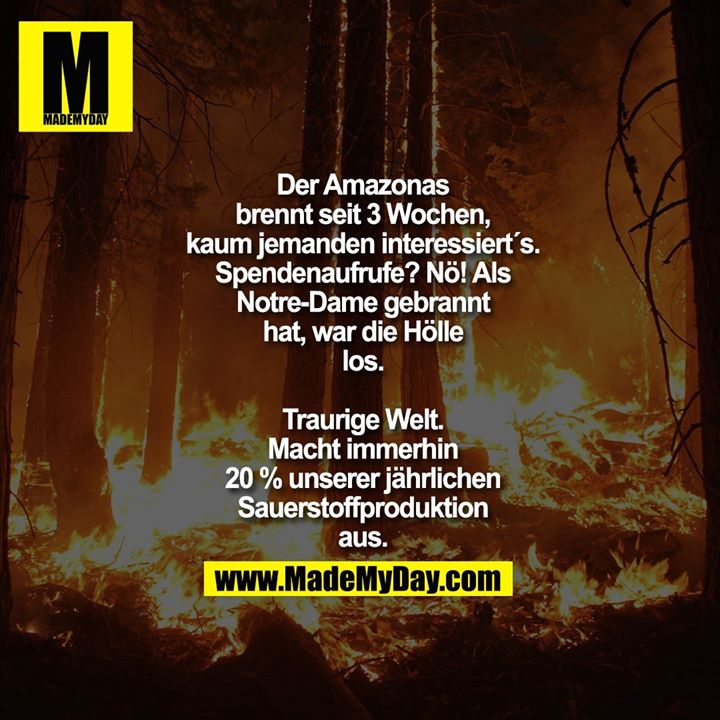 Der Amazonas<br />
brennt seit 3 Wochen,<br />
kaum jemanden interessiert´s.<br />
Spendenaufrufe? Nö! Als<br />
Notre-Dame gebrannt<br />
hat, war die Hölle<br />
los.<br />
<br />
Traurige Welt.<br />
Macht immerhin<br />
20 % unserer jährlichen<br />
Sauerstoffproduktion<br />
aus.