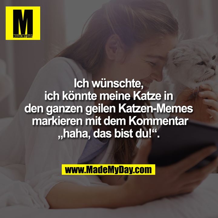 Ich wünschte, ich könnte meine Katze in den ganzen geilen Katzen-Memes markieren mit dem Kommentar „haha, das bist du!“.