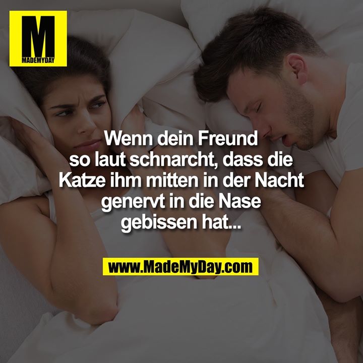 Wenn dein Freund so laut schnarcht, dass die Katze ihm mitten in der Nacht genervt in die Nase gebissen hat...