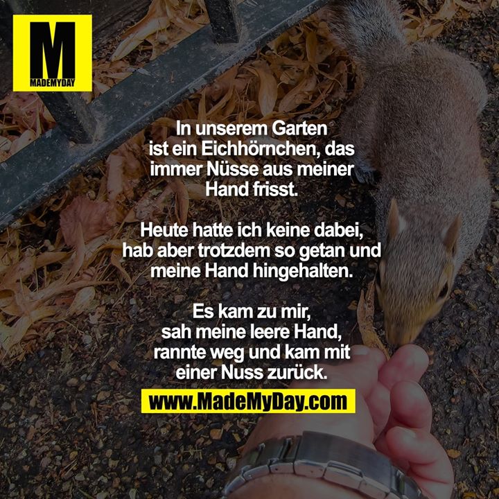 In unserem Garten<br />
ist ein Eichhörnchen, das<br />
immer Nüsse aus meiner<br />
Hand frisst.<br />
<br />
Heute hatte ich keine dabei,<br />
hab aber trotzdem so getan und<br />
meine Hand hingehalten.<br />
<br />
Es kam zu mir,<br />
sah meine leere Hand,<br />
rannte weg und kam mit<br />
einer Nuss zurück.