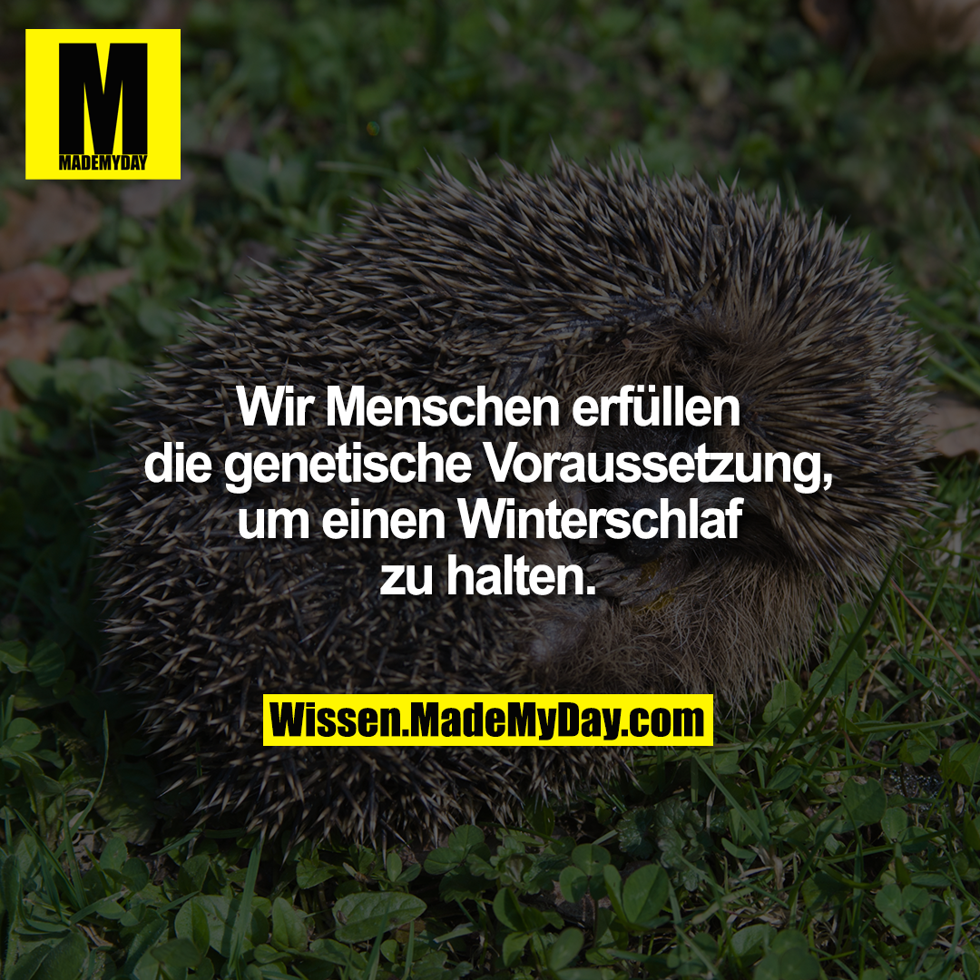 Wir Menschen erfüllen die genetische Voraussetzung, um einen Winterschlaf zu halten.