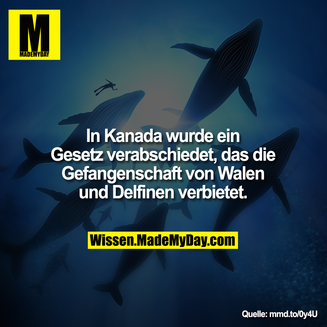 In Kanada wurde ein Gesetz<br />
verabschiedet, das die Gefangenschaft<br />
von Walen und Delfinen verbietet.