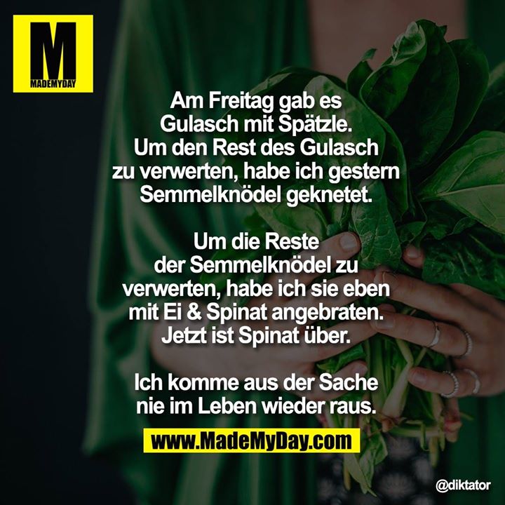 Am Freitag gab es Gulasch mit Spätzle. Um den Rest des Gulasch zu verwerten, habe ich gestern Semmelknödel geknetet. Um die Reste der Semmelknödel zu verwerten, habe ich sie eben mit Ei & Spinat angebraten. Jetzt ist Spinat über. Ich komme aus der Sache nie im Leben wieder raus.