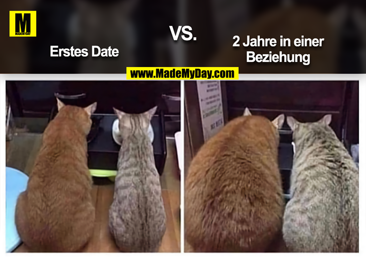 Erstes Date Vs 2 Jahre Made My Day