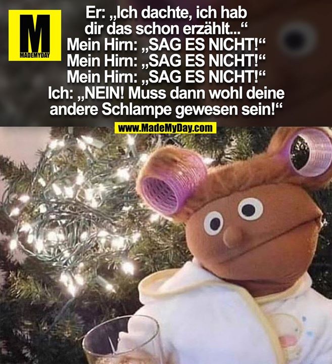 Er: „Ich dachte, ich hab dir das schon erzählt...“<br />
Mein Hirn: „SAG ES NICHT!“<br />
Mein Hirn: „SAG ES NICHT!“<br />
Mein Hirn: „SAG ES NICHT!“<br />
Ich: „NEIN! Muss dann wohl deine andere Schlampe gewesen sein!“